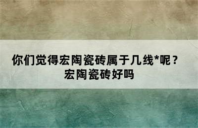 你们觉得宏陶瓷砖属于几线*呢？ 宏陶瓷砖好吗